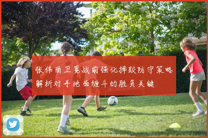 张伟丽卫冕战前强化摔跤防守策略解析对手地面缠斗的胜负关键
