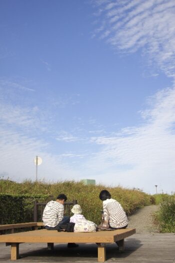 京都で子供とピクニックならここがオススメ。場所や営業時間、駐車場情報も。